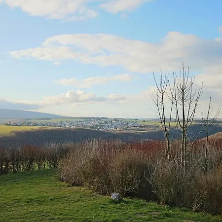 Hunsrueck Valley View With Cedar Sauna Appartement