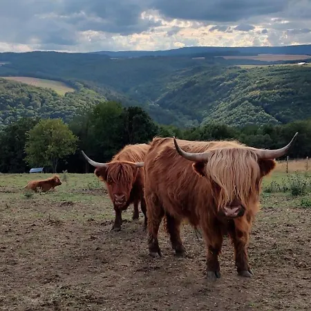 Hunsrueck Valley View With Cedar Sauna Appartement Bruschied