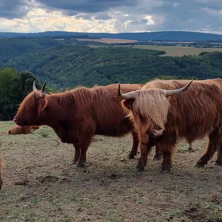 Hunsrueck Valley View With Cedar Sauna