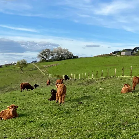 Hunsrueck Valley View With Cedar Sauna * Bruschied