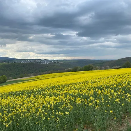 Appartement Hunsrueck Valley View With Cedar Sauna *