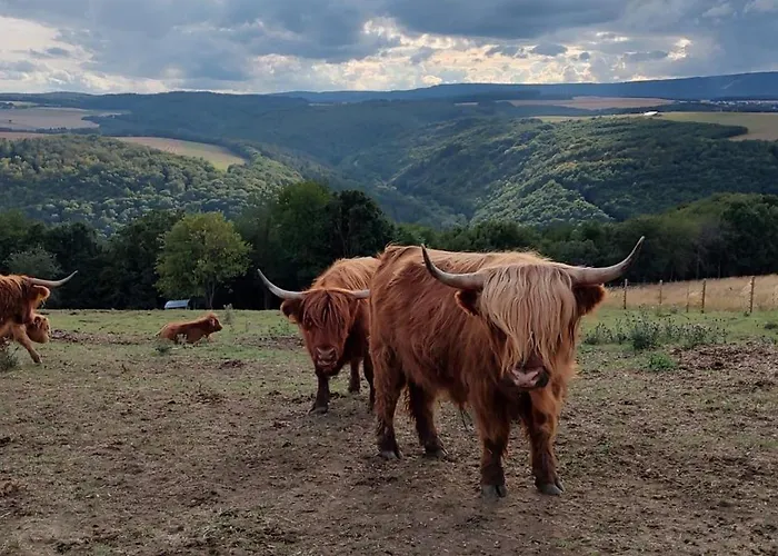 Hunsrueck Valley View With Cedar Sauna Apartamento Bruschied