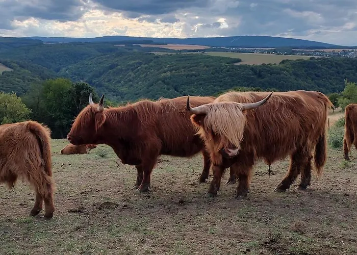 Hunsrueck Valley View With Cedar Sauna