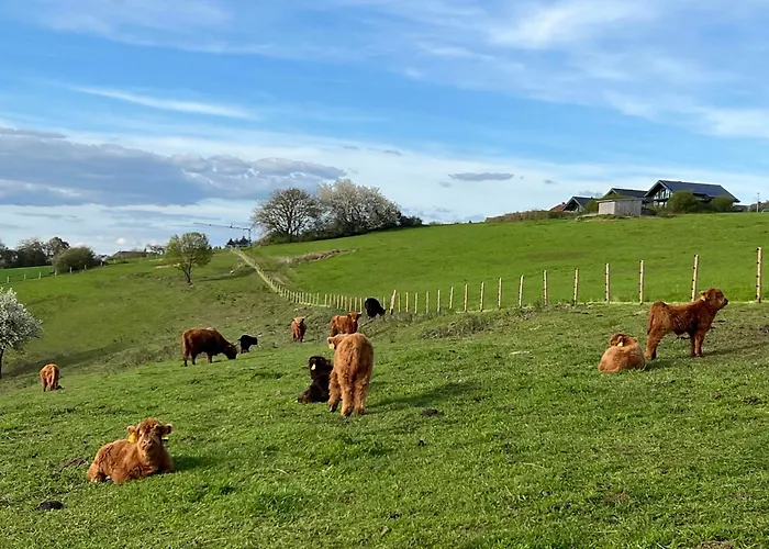 Hunsrueck Valley View With Cedar Sauna * Bruschied
