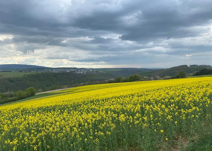 Apartamento Hunsrueck Valley View With Cedar Sauna *